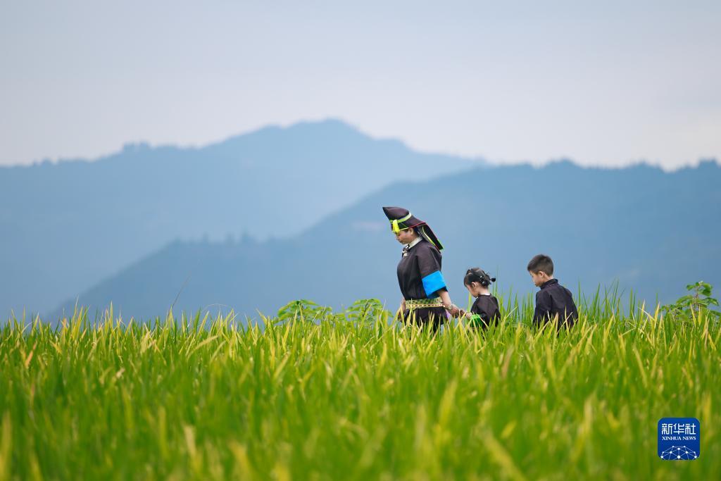 bg大游集团